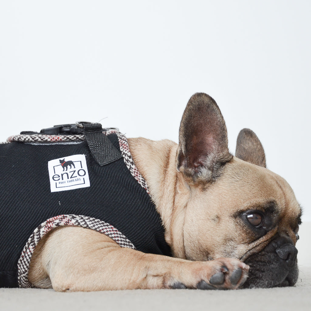 london | black harness