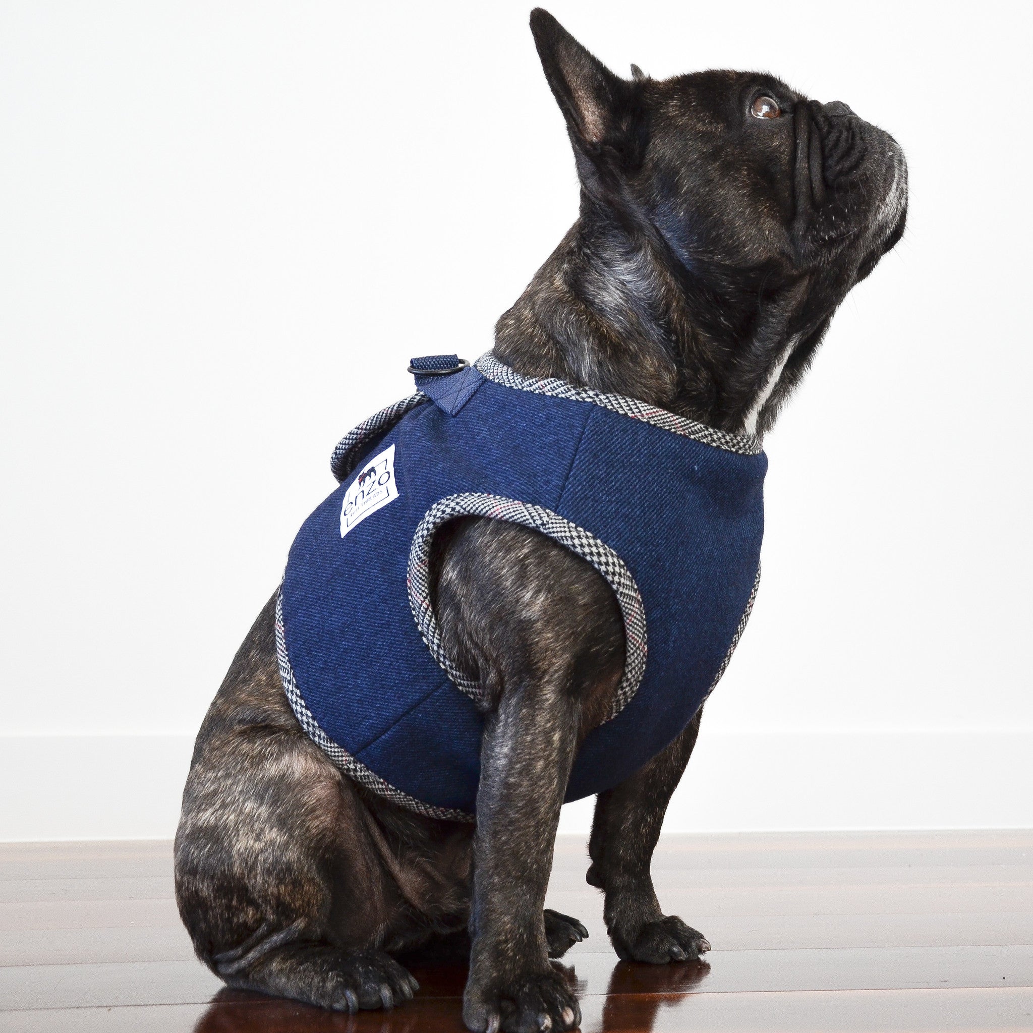 enzo | navy harness