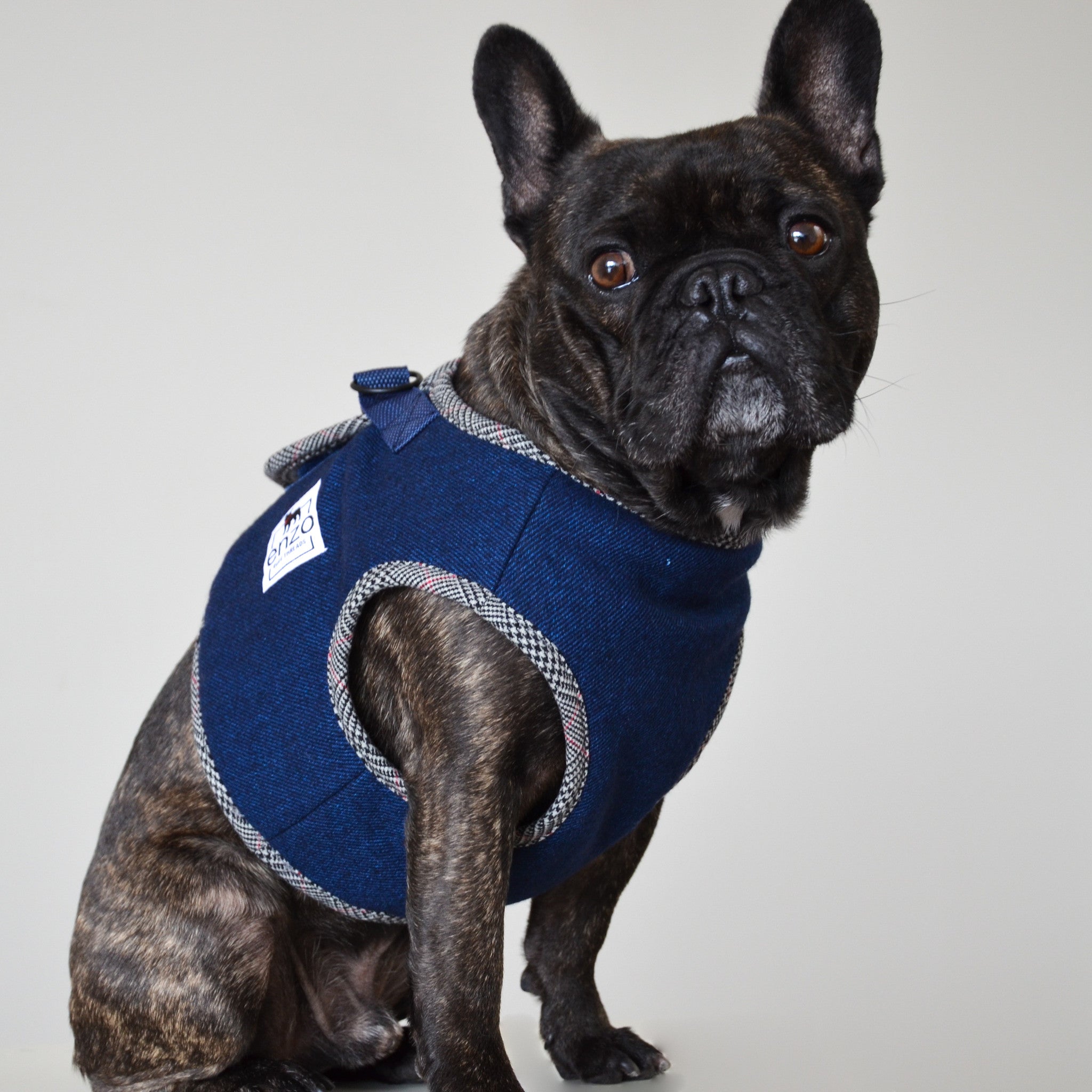 enzo | navy harness