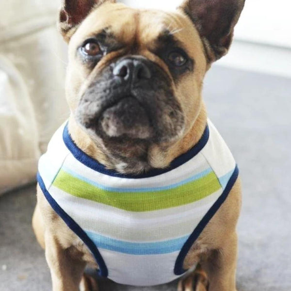 felix | stripe summer harness